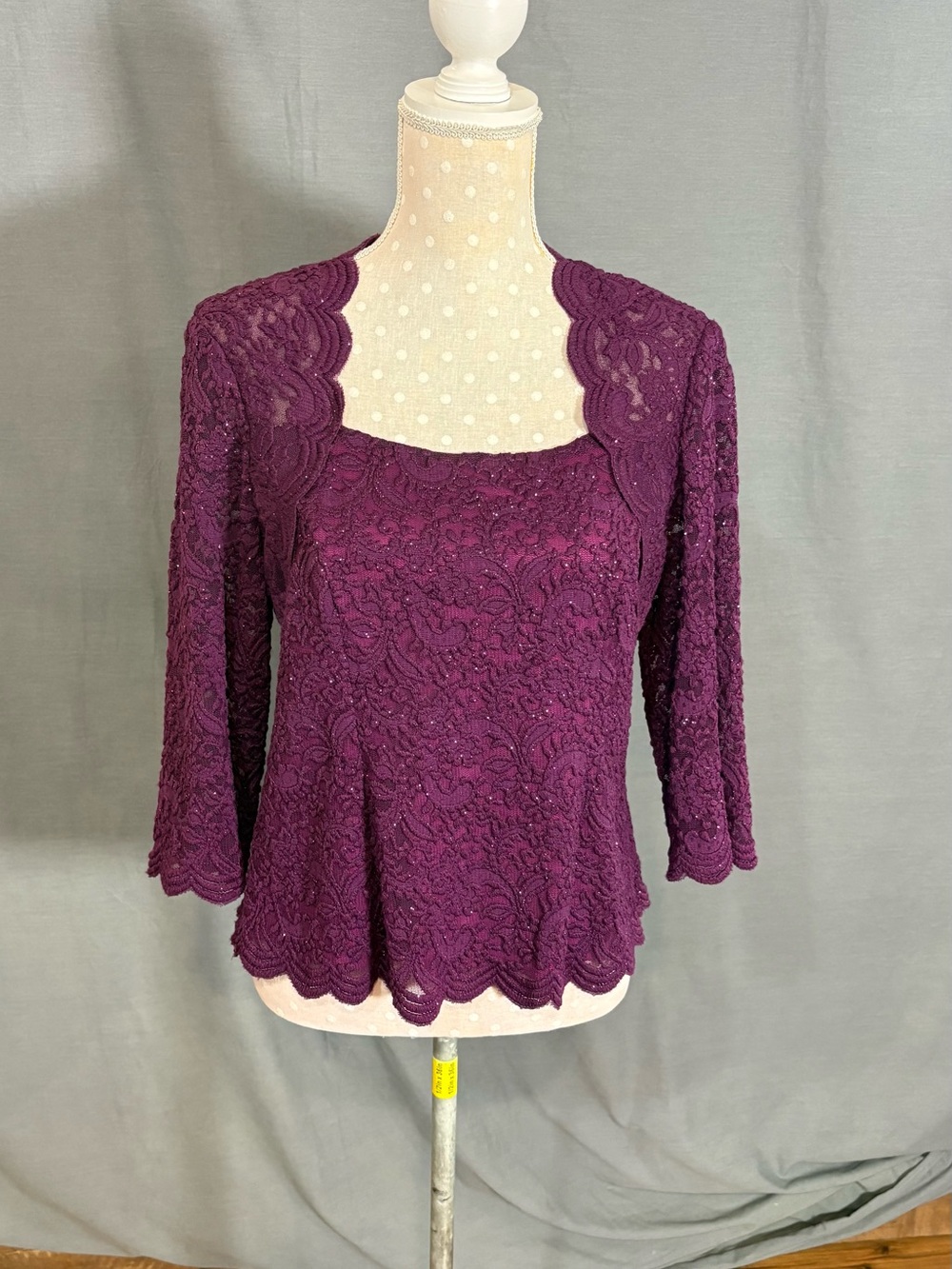 Alex Evenings Plum Lace Scoop Neck Blouse